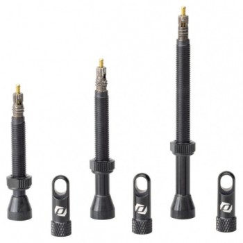 Valvula Tubeless Black Syncros 2