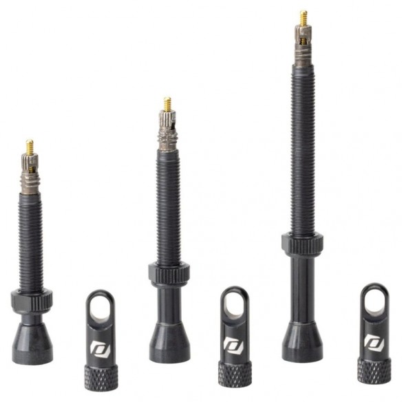 Valvula Tubeless Black Syncros