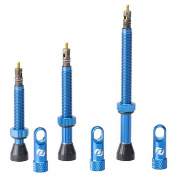Valvula Tubeless Blue Syncros 2