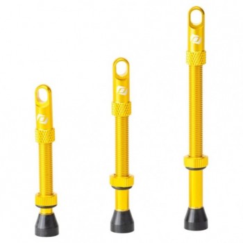 Valvula Tubeless Gold Syncros