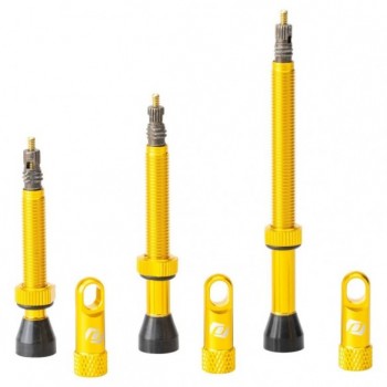 Valvula Tubeless Gold Syncros 2