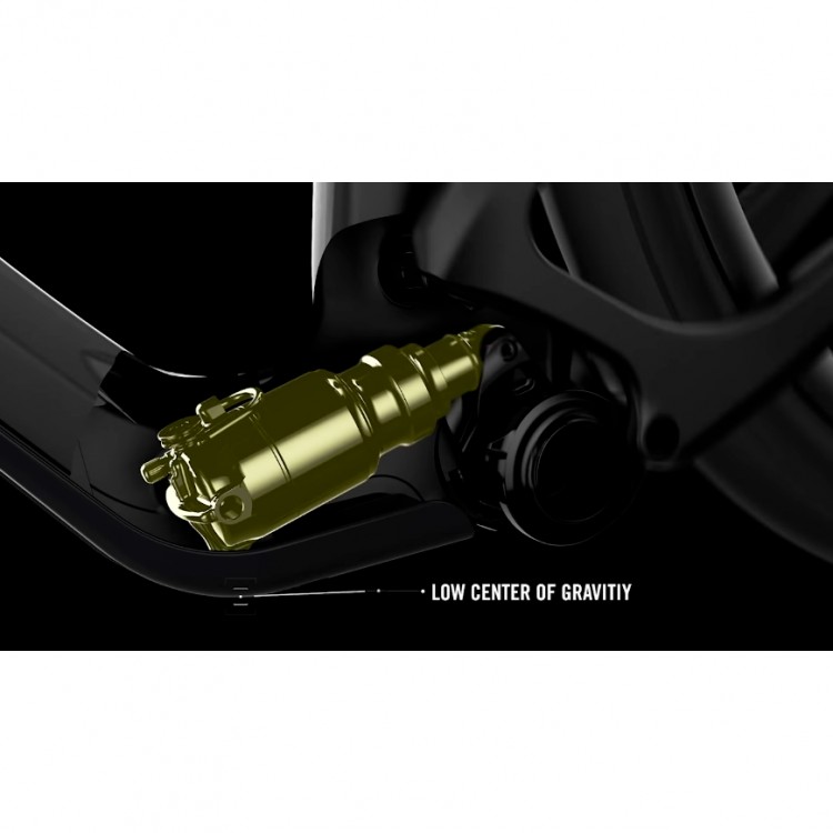 Cuadro Bold Set Linkin Ltd W/ Shock Black (FOX...