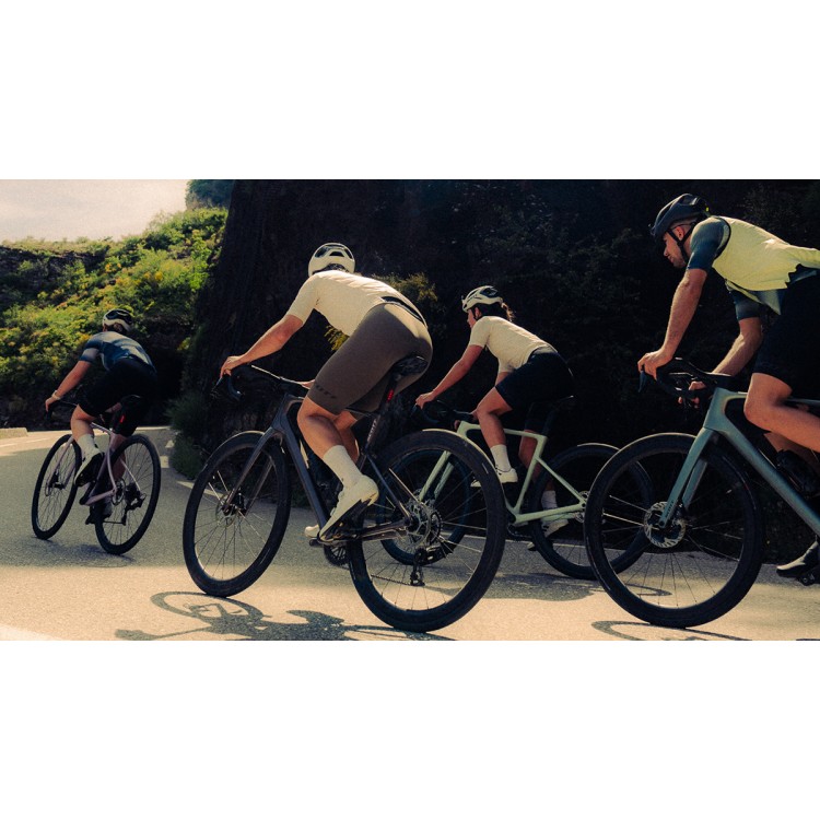 Bicicleta ADDICT 10 2026