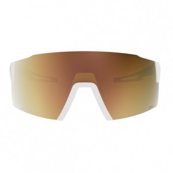 Gafas de sol STRIDE COMPACT LS Scott 2