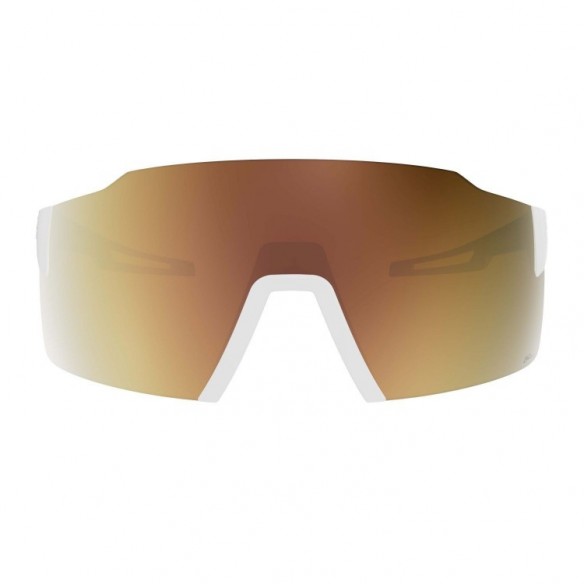 Gafas de sol STRIDE LS Scott