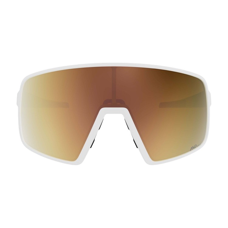 Gafas de sol TORICA LS Scott