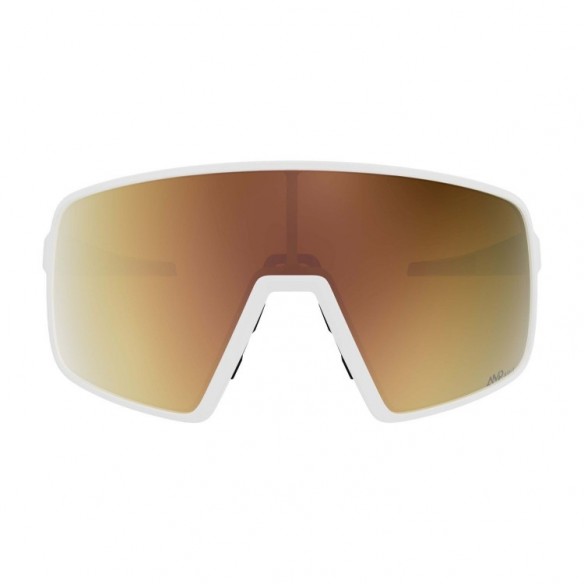 Gafas de sol TORICA LS Scott