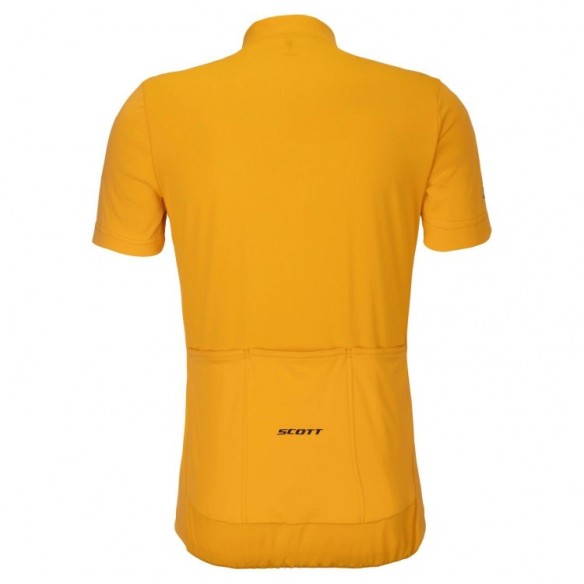 Maillot de hombre ENDURANCE LT SS Scott