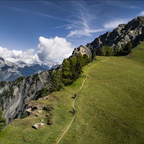 Explora la montaña con nuestra colección de Trail